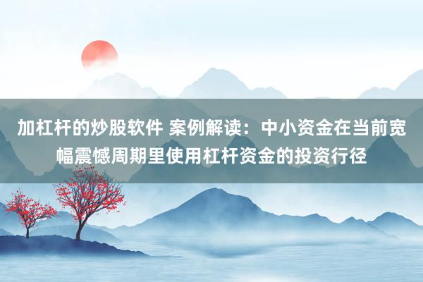 加杠杆的炒股软件 案例解读：中小资金在当前宽幅震憾周期里使用杠杆资金的投资行径